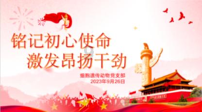 救援外星小怪
